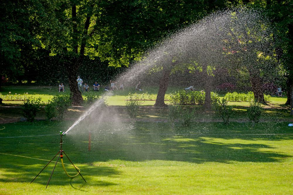 A sprinkler sprays water over a lush green lawn, creating a refreshing scene on a sunny day.