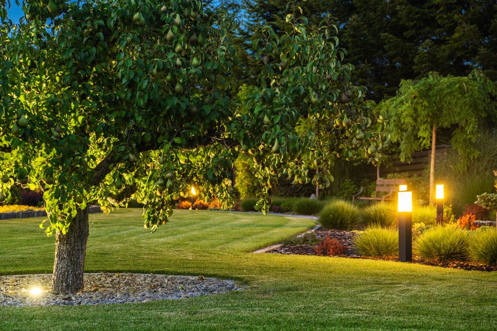 A serene garden featuring a tree adorned with twinkling lights, creating a magical evening atmosphere.