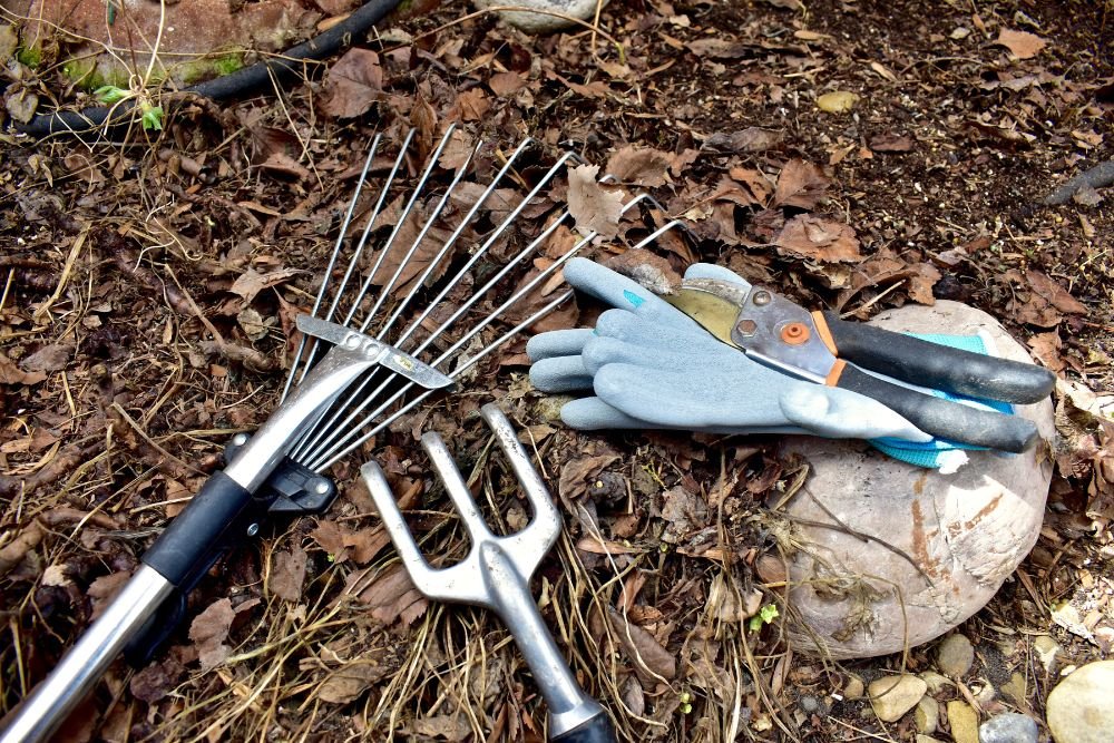 A garden rake, a pair of gloves, and various gardening tools arranged on a wooden surface, ready for gardening tasks.
