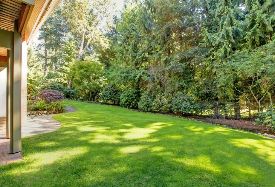 A serene backyard featuring a lush green lawn surrounded by several trees under a clear blue sky.