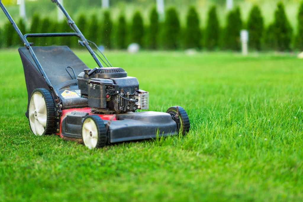 Ready for use in maintaining the lawn's appearance.